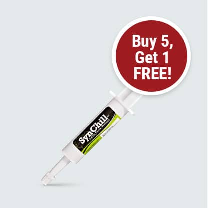 Synchill calmer for horses on sale at FarmVet.com.
